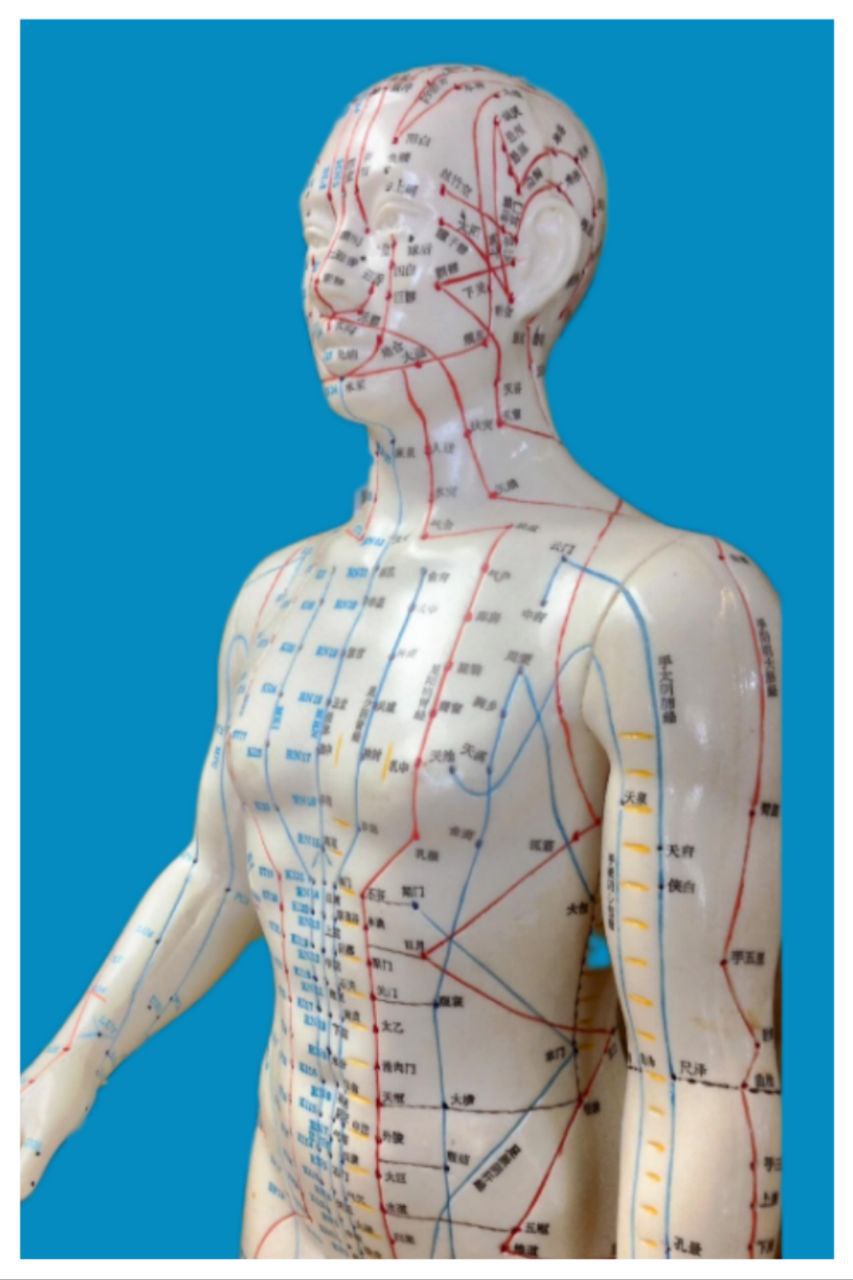 Profilbild Maria Kreuzmann